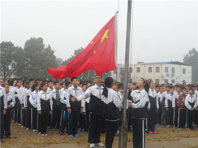 图片1