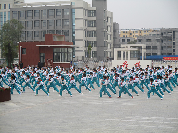 体育类.JPG