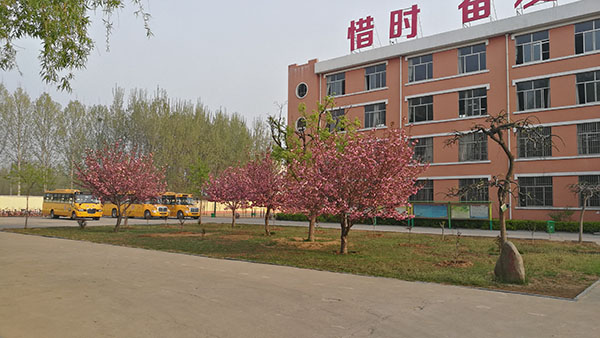 少年宫整体面貌 (2).jpg