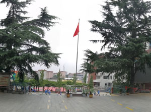 新泰市汶城实验小学.jpg
