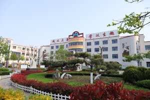 肥城市河西小学.jpg