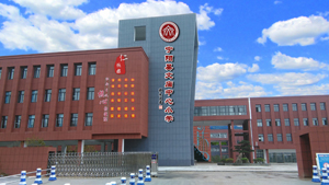 文庙中心小学.jpg