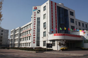 新泰市平阳小学.jpg