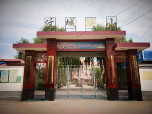 新泰市宫里镇汶城联办小学.jpg