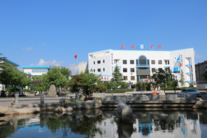 肥城市龙山中学.jpg