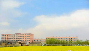 大汶口镇中心小学.jpg