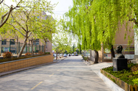 校园中心路1.jpg
