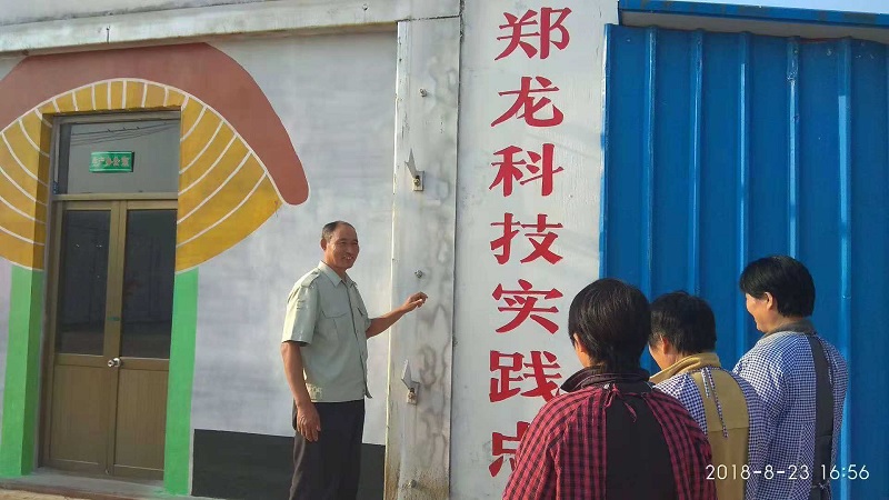 宁阳县蒋集镇郑龙村2.jpg